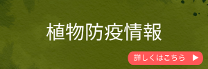 植物防疫情報